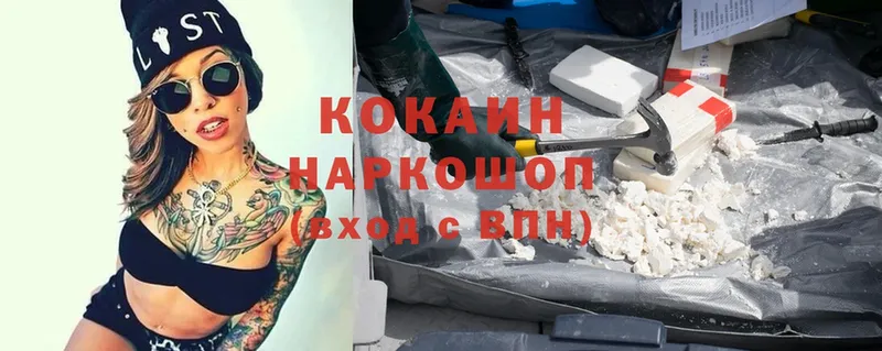 купить наркотики сайты  Кологрив  кракен зеркало  Cocaine FishScale 